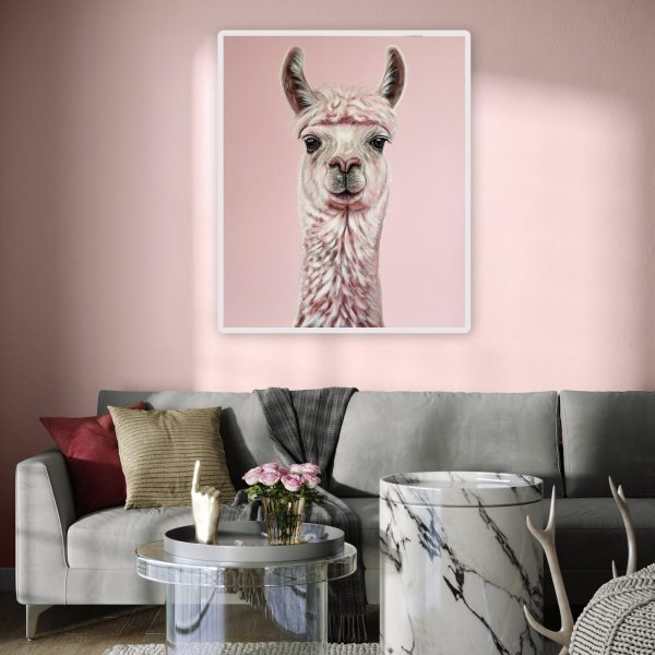 ROSALIE-klaus-fliege-Bild-1